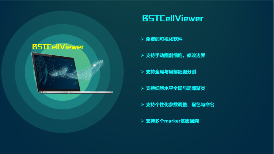 BSTCellViewer