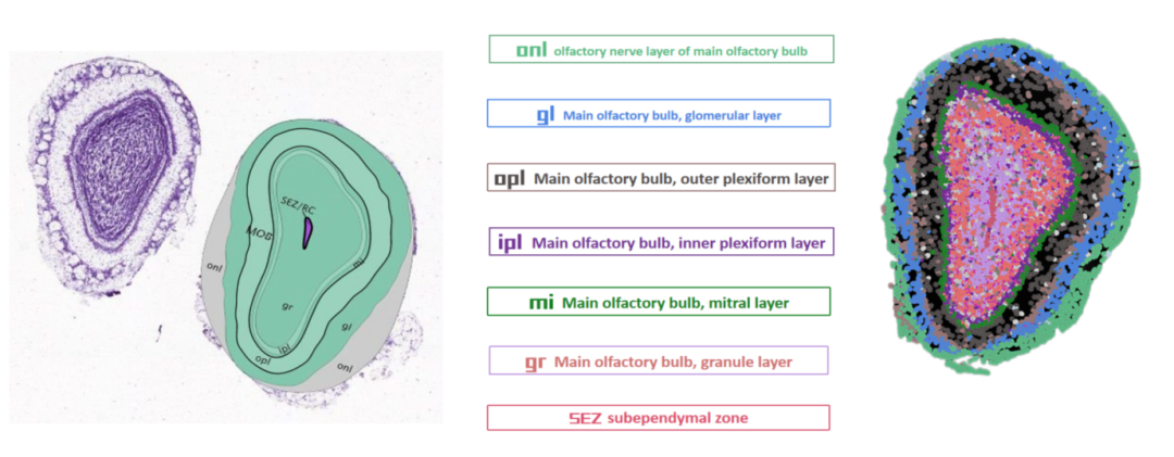 anli-2